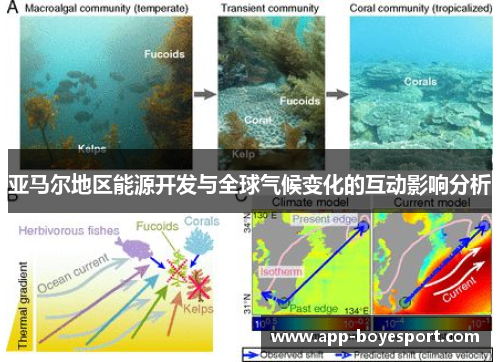 亚马尔地区能源开发与全球气候变化的互动影响分析